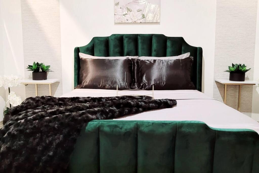 Staycation City Loft Free Gated Parking Сент-Луїс Екстер'єр фото